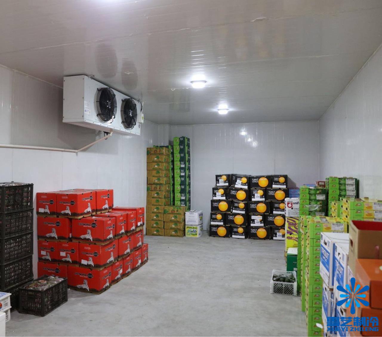 ColdStorage installation Units Essentials to Every Business Gee Long